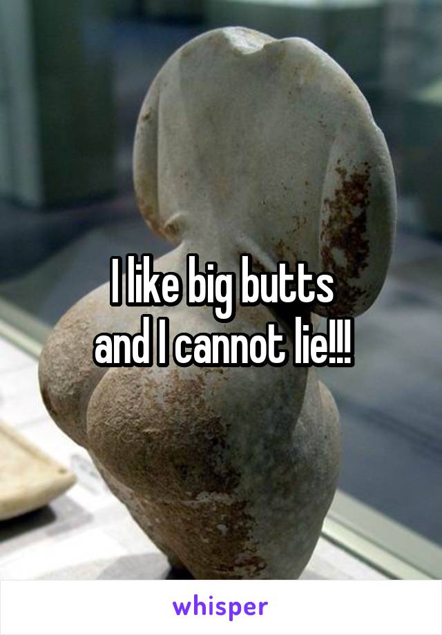 I like big butts
and I cannot lie!!!