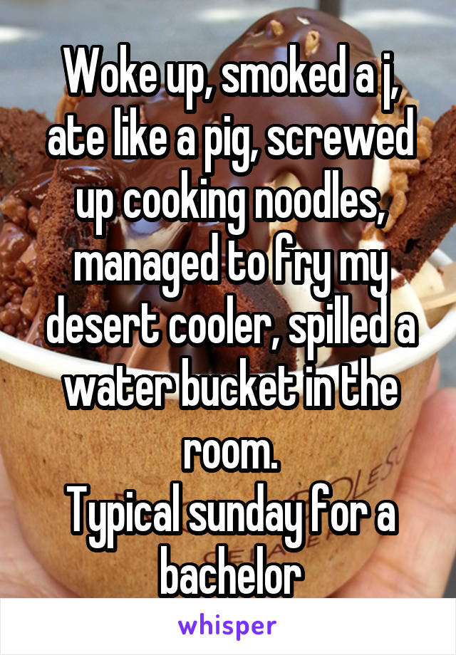 Woke up, smoked a j, ate like a pig, screwed up cooking noodles, managed to fry my desert cooler, spilled a water bucket in the room.
Typical sunday for a bachelor