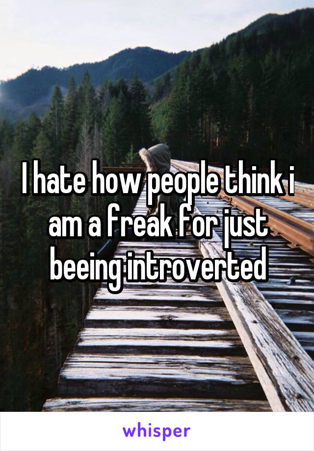 I hate how people think i am a freak for just beeing introverted