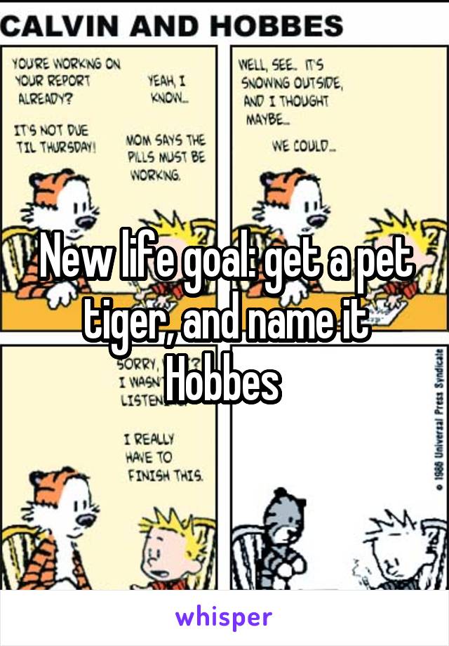 New life goal: get a pet tiger, and name it Hobbes 