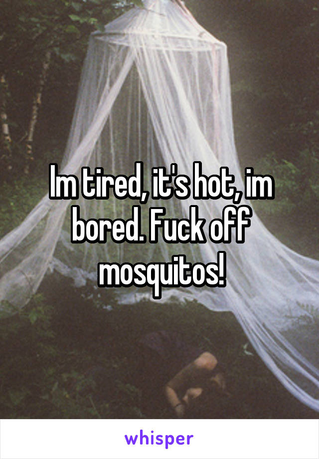 Im tired, it's hot, im bored. Fuck off mosquitos!