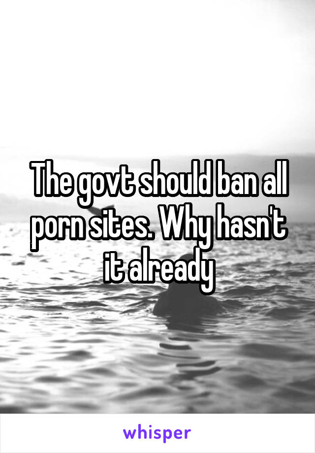 The govt should ban all porn sites. Why hasn't it already