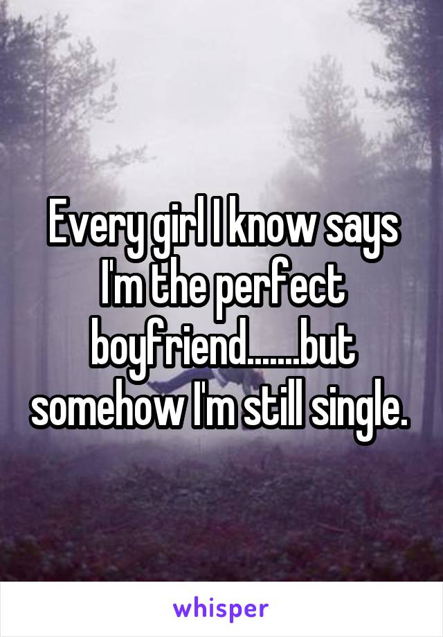 Every girl I know says I'm the perfect boyfriend.......but somehow I'm still single. 