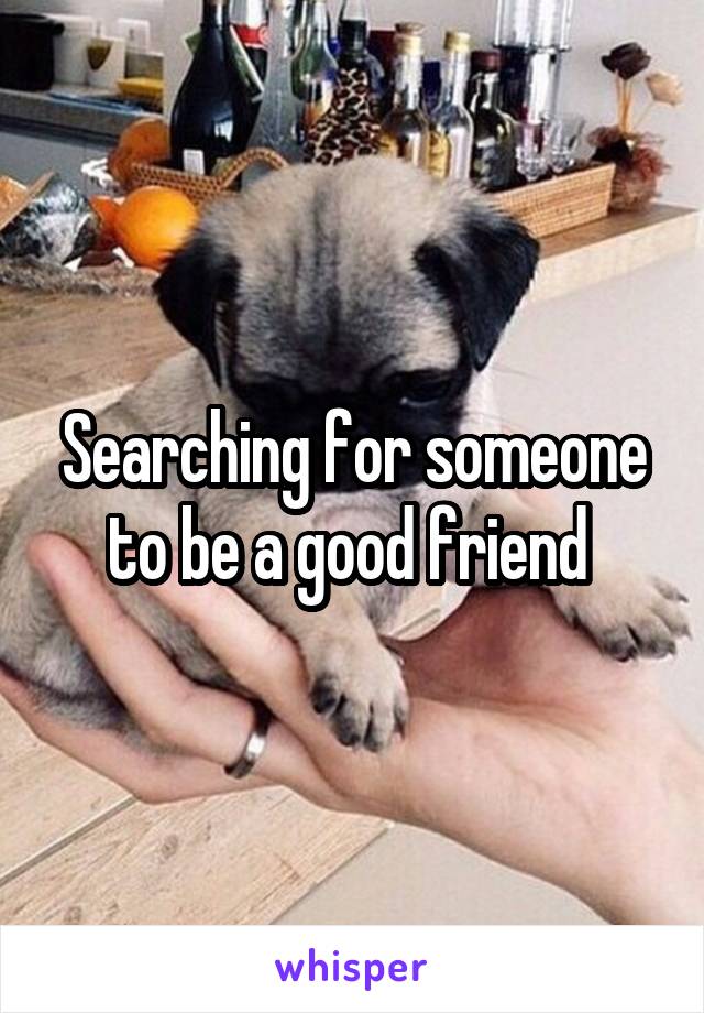 Searching for someone to be a good friend 