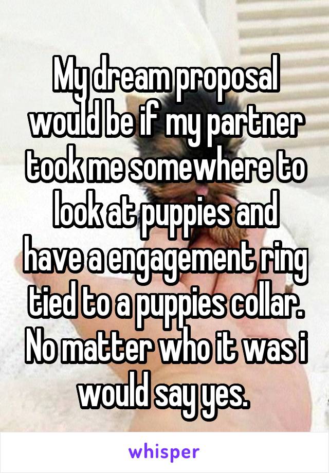 My dream proposal would be if my partner took me somewhere to look at puppies and have a engagement ring tied to a puppies collar. No matter who it was i would say yes. 