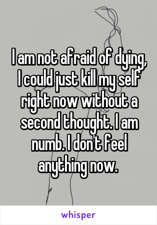 I am not afraid of dying, I could just kill my self right now without a second thought. I am numb. I don't feel anything now. 