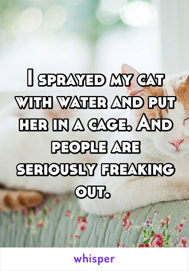 I sprayed my cat with water and put her in a cage. And people are seriously freaking out. 