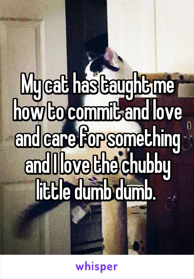 My cat has taught me how to commit and love and care for something and I love the chubby little dumb dumb. 