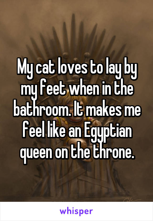 My cat loves to lay by my feet when in the bathroom. It makes me feel like an Egyptian queen on the throne.