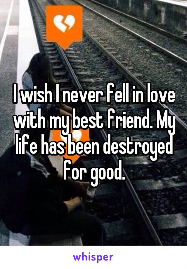 I wish I never fell in love with my best friend. My life has been destroyed for good.