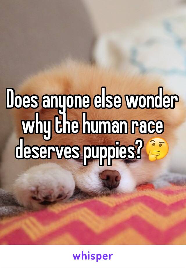 Does anyone else wonder why the human race deserves puppies?🤔