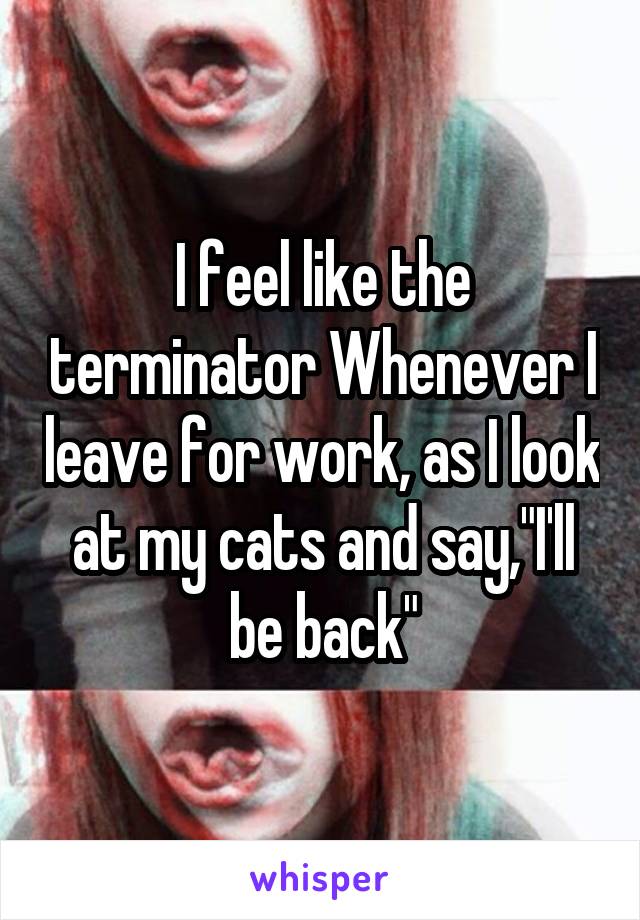 I feel like the terminator Whenever I leave for work, as I look at my cats and say,"I'll be back"