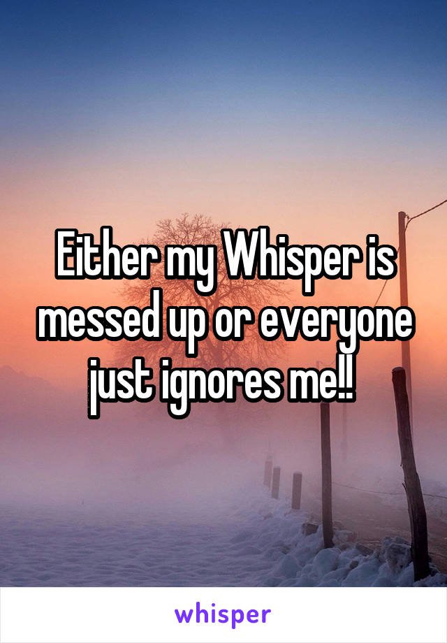 Either my Whisper is messed up or everyone just ignores me!! 