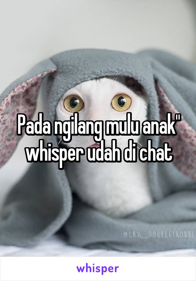 Pada ngilang mulu anak" whisper udah di chat