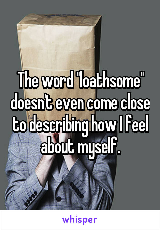 The word "loathsome" doesn't even come close to describing how I feel about myself.