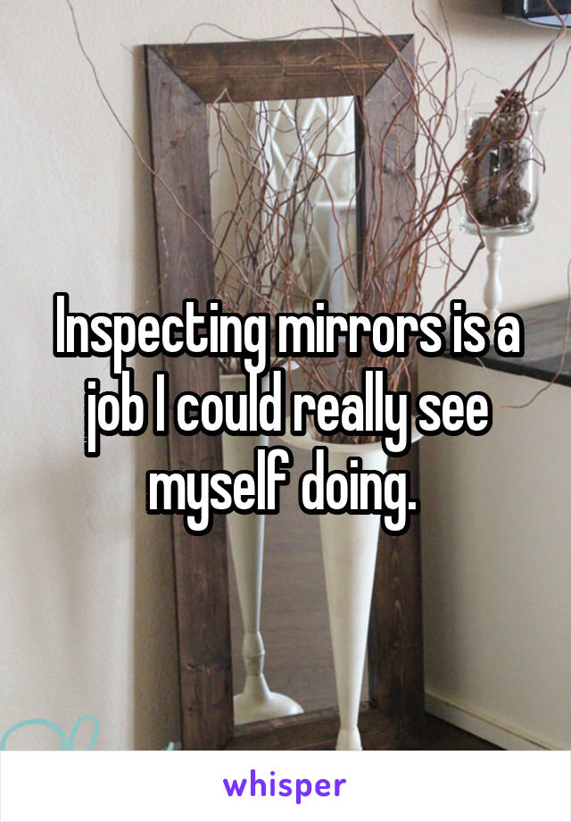 Inspecting mirrors is a job I could really see myself doing. 