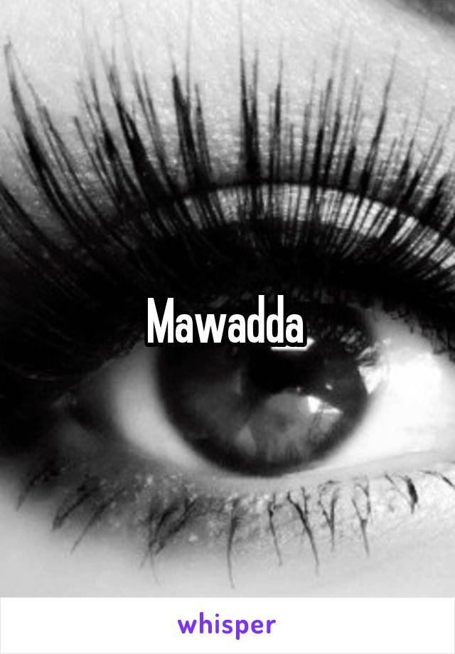 Mawadda 