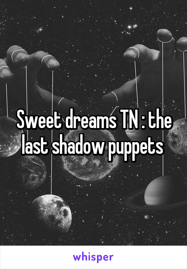 Sweet dreams TN : the last shadow puppets 