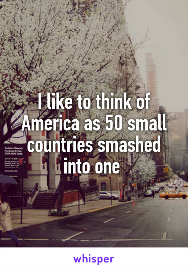 I like to think of America as 50 small countries smashed into one 