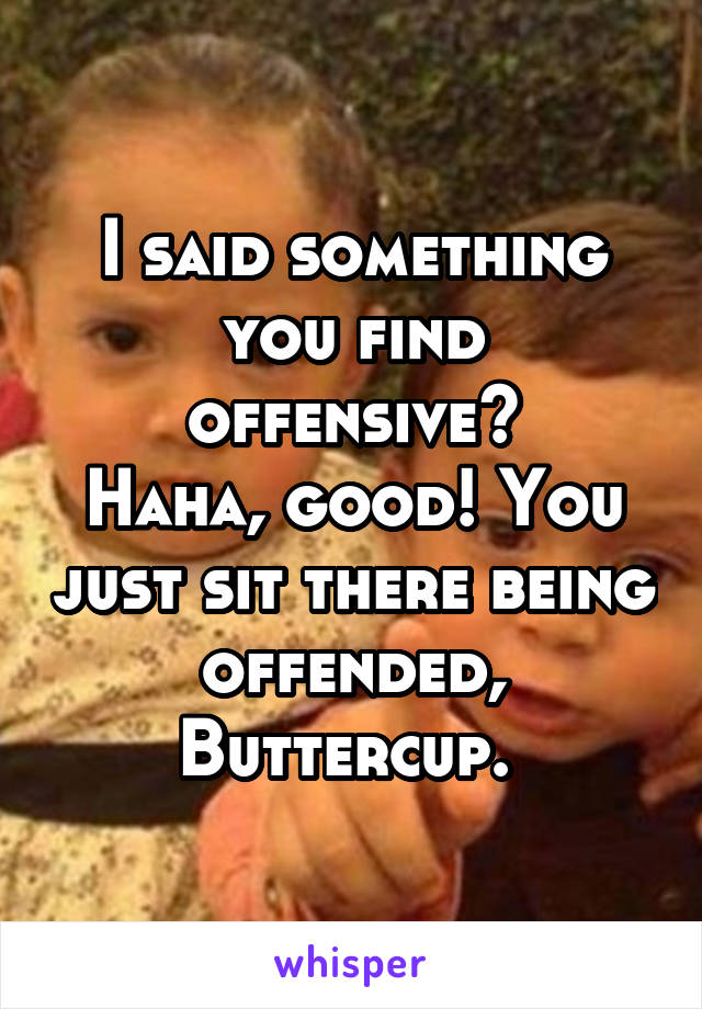 I said something you find offensive?
Haha, good! You just sit there being offended, Buttercup. 