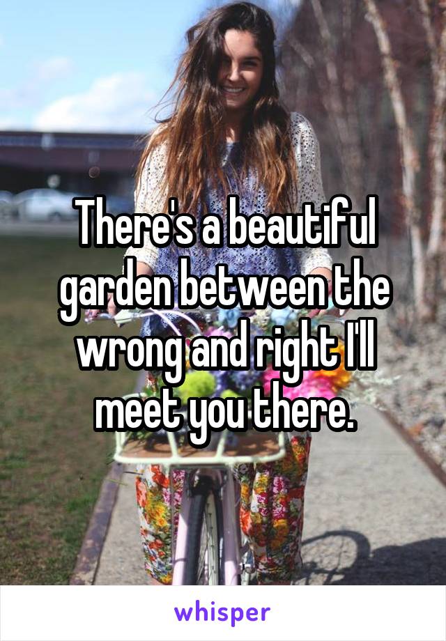 There's a beautiful garden between the wrong and right I'll meet you there.