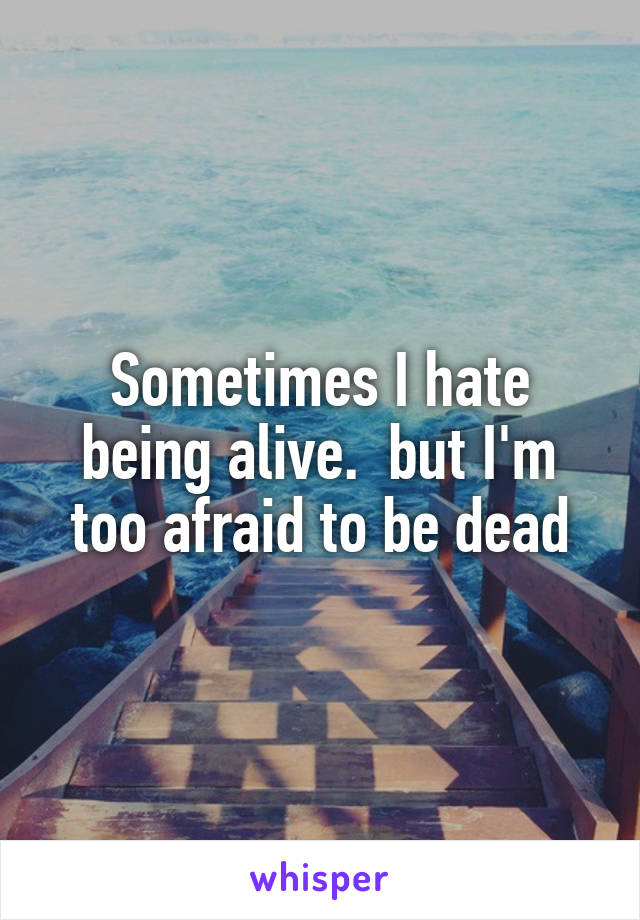 Sometimes I hate being alive.  but I'm too afraid to be dead