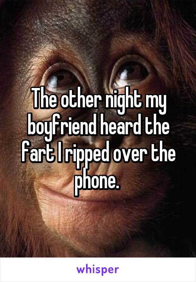 The other night my boyfriend heard the fart I ripped over the phone. 