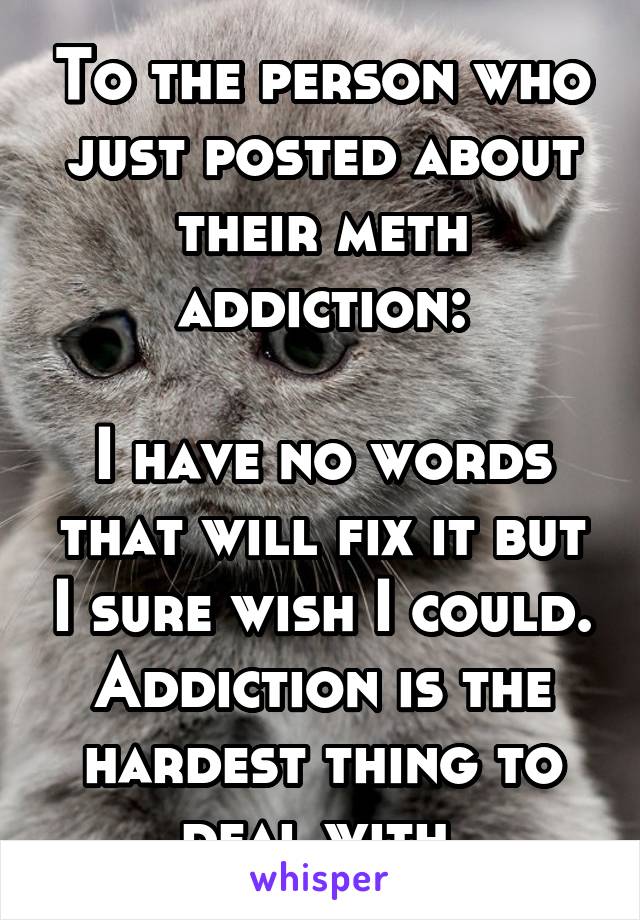 To the person who just posted about their meth addiction:

I have no words that will fix it but I sure wish I could. Addiction is the hardest thing to deal with.