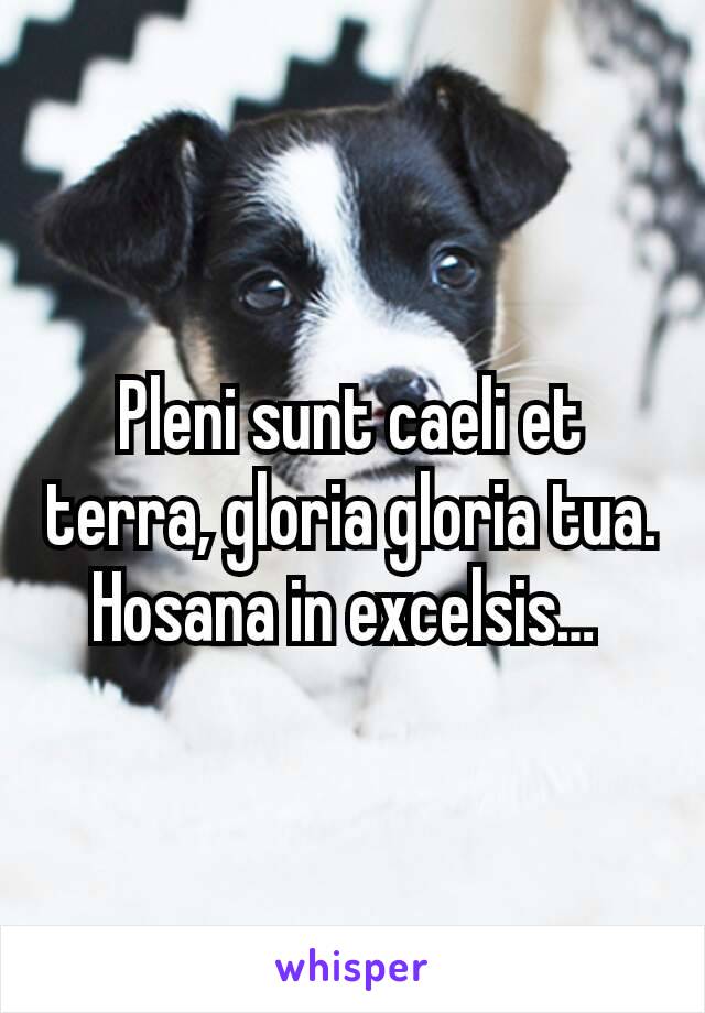 Pleni sunt caeli et terra, gloria gloria tua. Hosana in excelsis… 