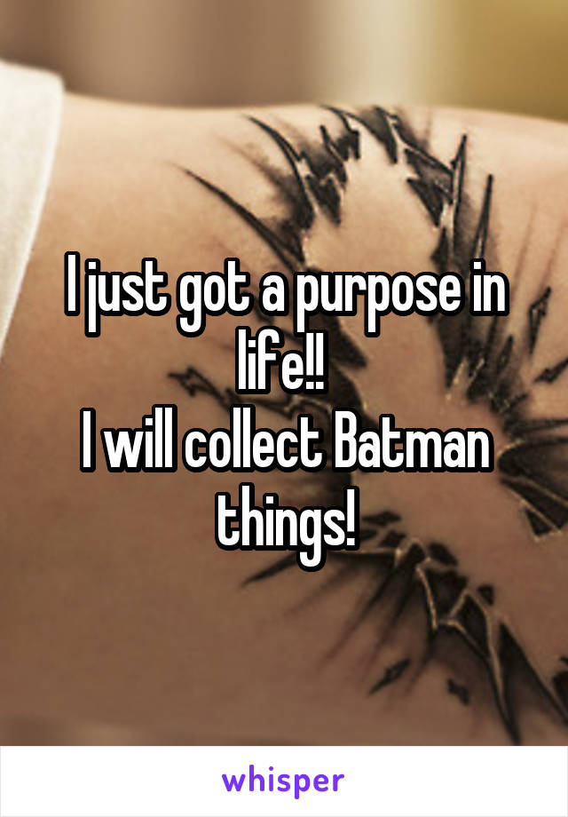 I just got a purpose in life!! 
I will collect Batman things!