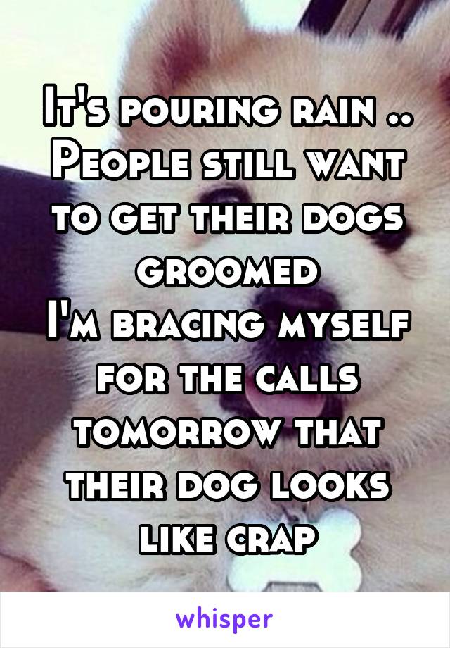 It's pouring rain ..
People still want to get their dogs groomed
I'm bracing myself for the calls tomorrow that their dog looks like crap