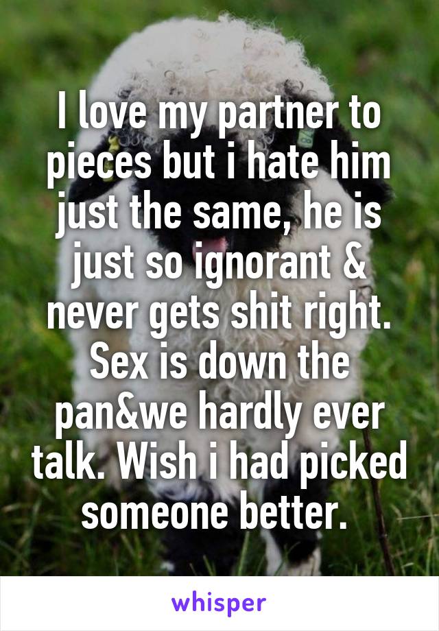 I love my partner to pieces but i hate him just the same, he is just so ignorant & never gets shit right. Sex is down the pan&we hardly ever talk. Wish i had picked someone better. 