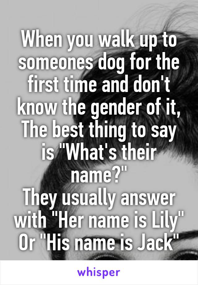 When you walk up to someones dog for the first time and don't know the gender of it,
The best thing to say is "What's their name?"
They usually answer with "Her name is Lily"
Or "His name is Jack"