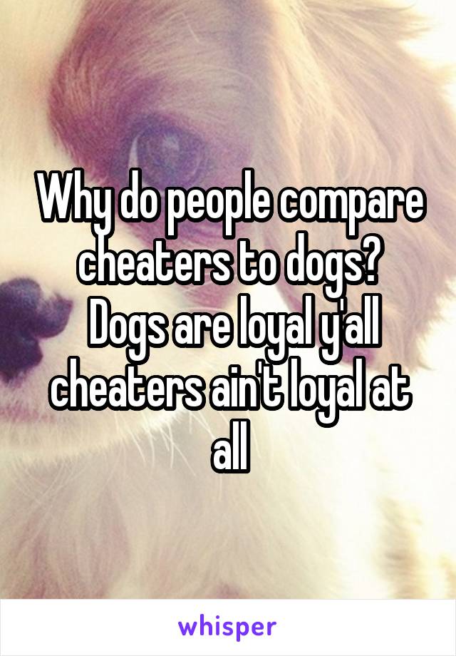 Why do people compare cheaters to dogs?
 Dogs are loyal y'all cheaters ain't loyal at all