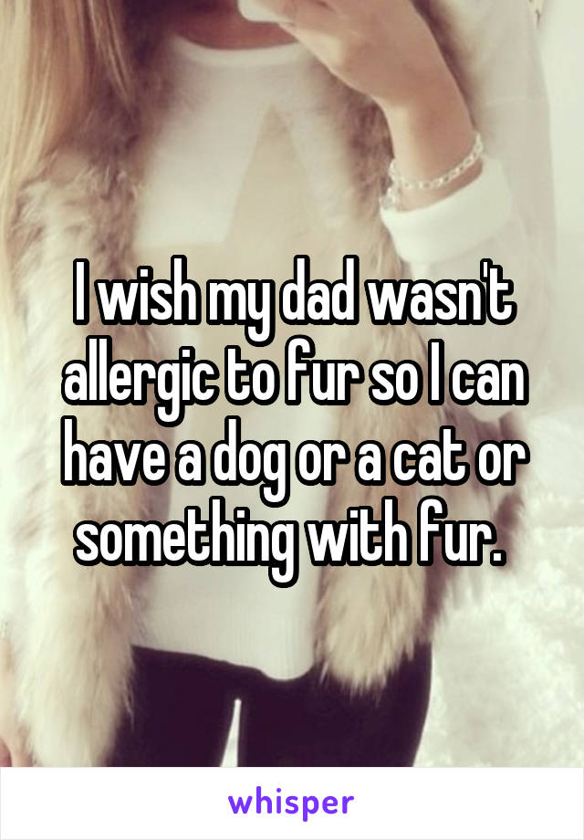 I wish my dad wasn't allergic to fur so I can have a dog or a cat or something with fur. 