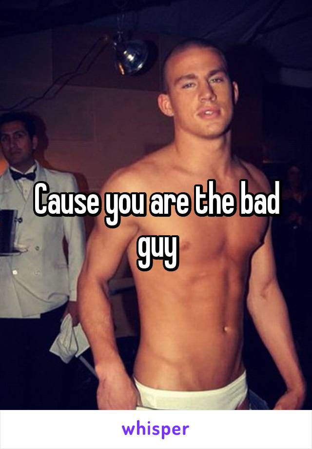 Cause you are the bad guy