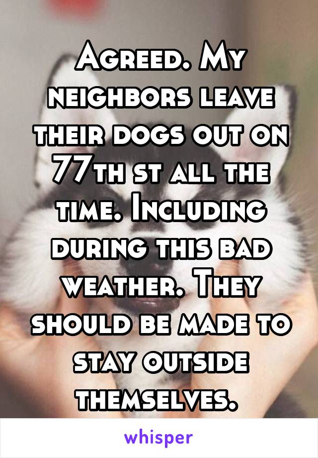 Agreed. My neighbors leave their dogs out on 77th st all the time. Including during this bad weather. They should be made to stay outside themselves. 