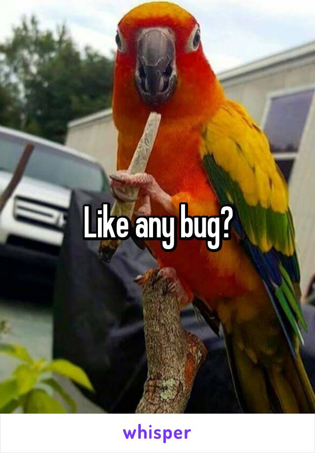 Like any bug?