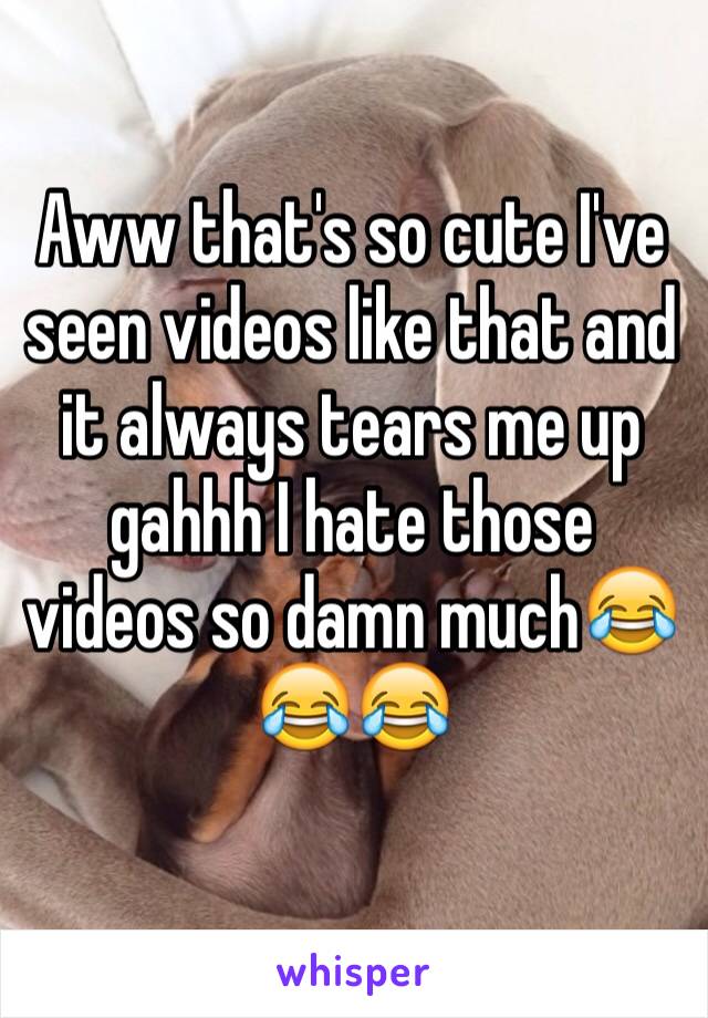 Aww that's so cute I've seen videos like that and it always tears me up gahhh I hate those videos so damn much😂😂😂
