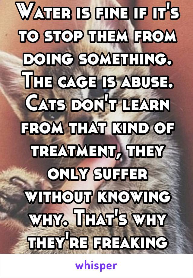 Water is fine if it's to stop them from doing something.
The cage is abuse.
Cats don't learn from that kind of treatment, they only suffer without knowing why. That's why they're freaking out. 