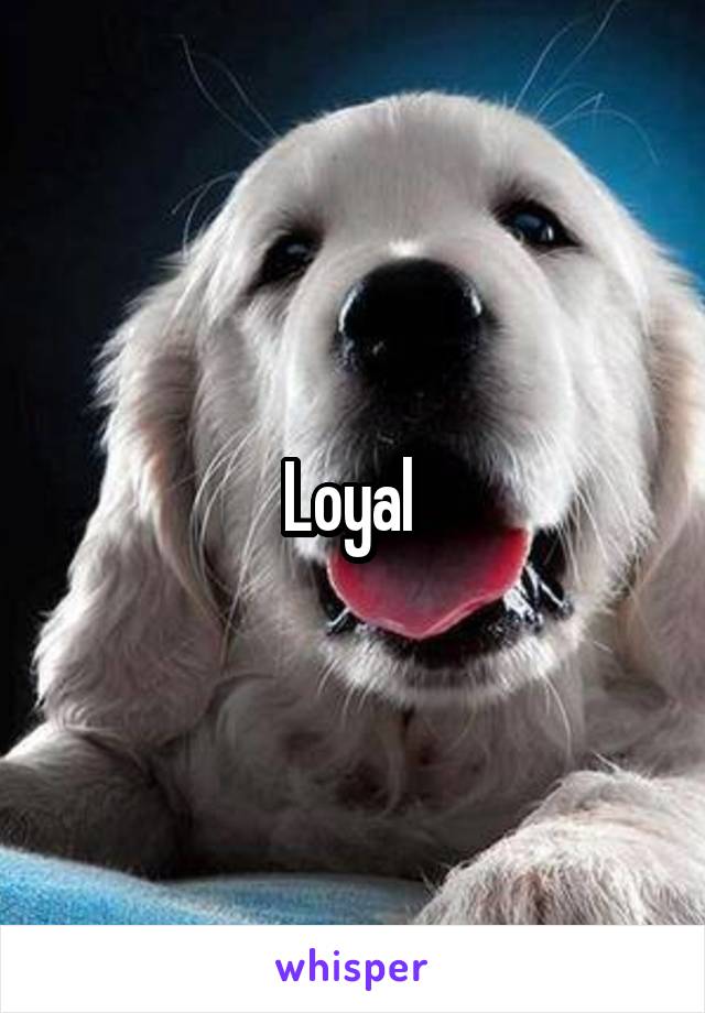 Loyal 