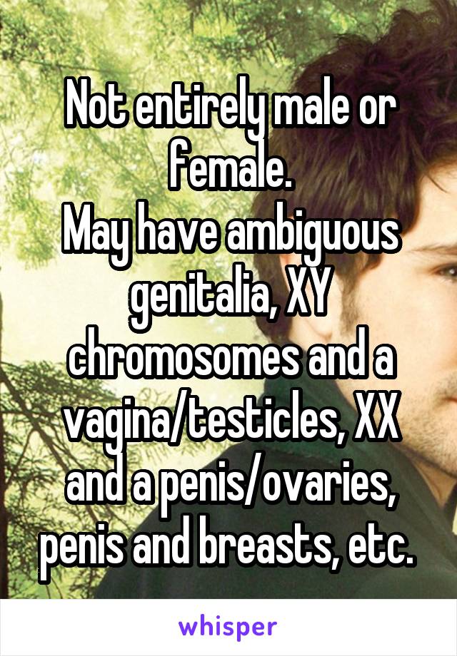 Not entirely male or female.
May have ambiguous genitalia, XY chromosomes and a vagina/testicles, XX and a penis/ovaries, penis and breasts, etc. 