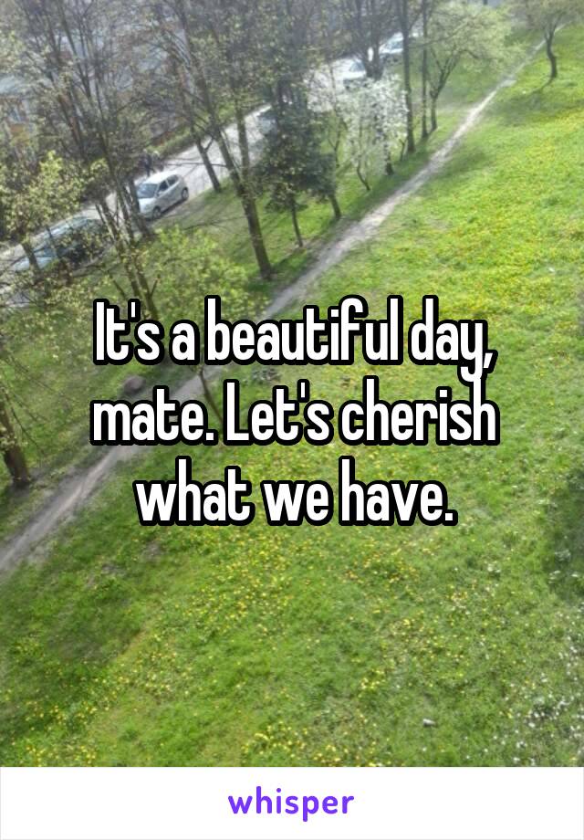 It's a beautiful day, mate. Let's cherish what we have.