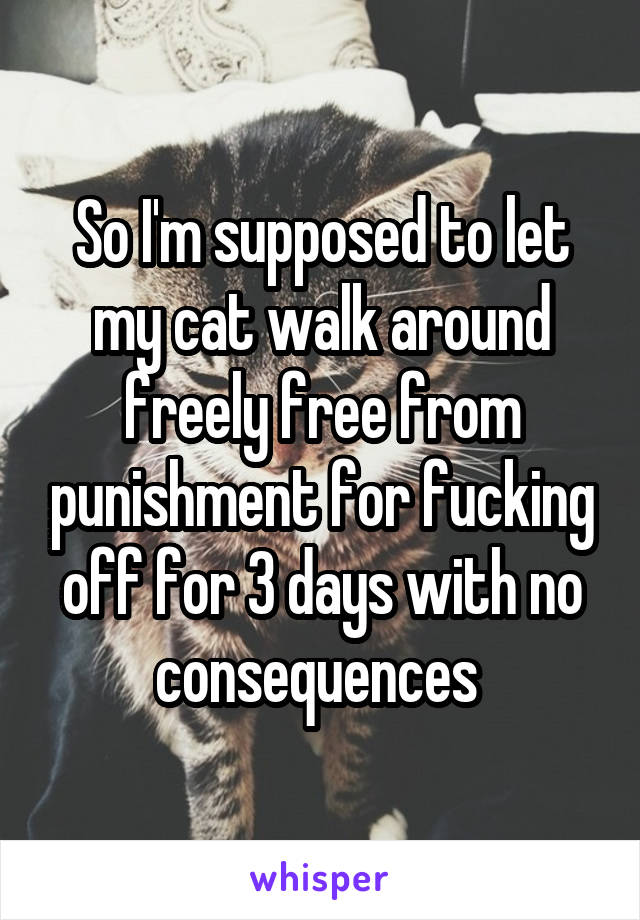 So I'm supposed to let my cat walk around freely free from punishment for fucking off for 3 days with no consequences 