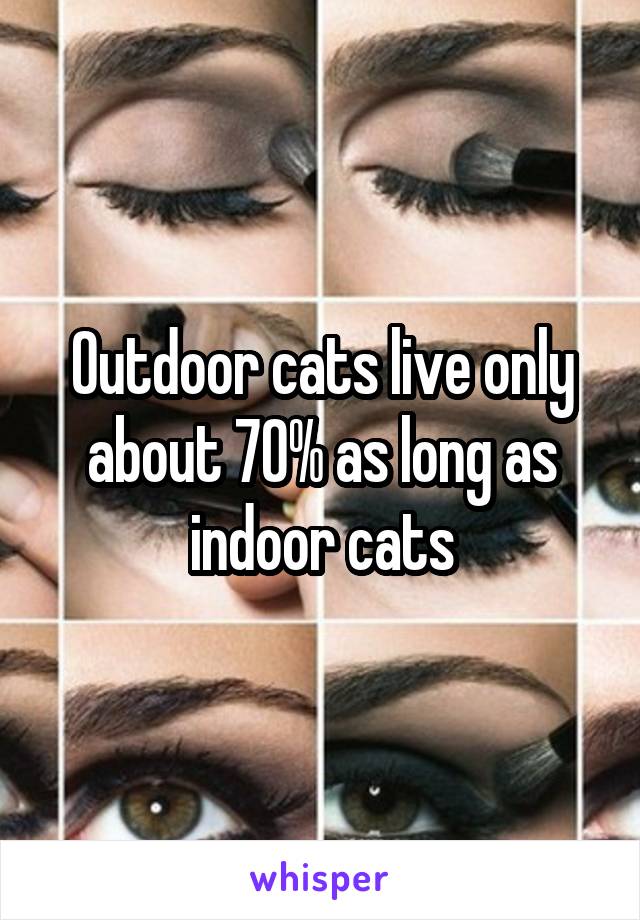 Outdoor cats live only about 70% as long as indoor cats