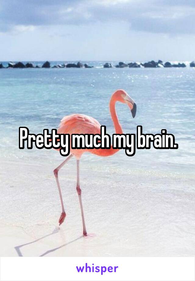 Pretty much my brain.