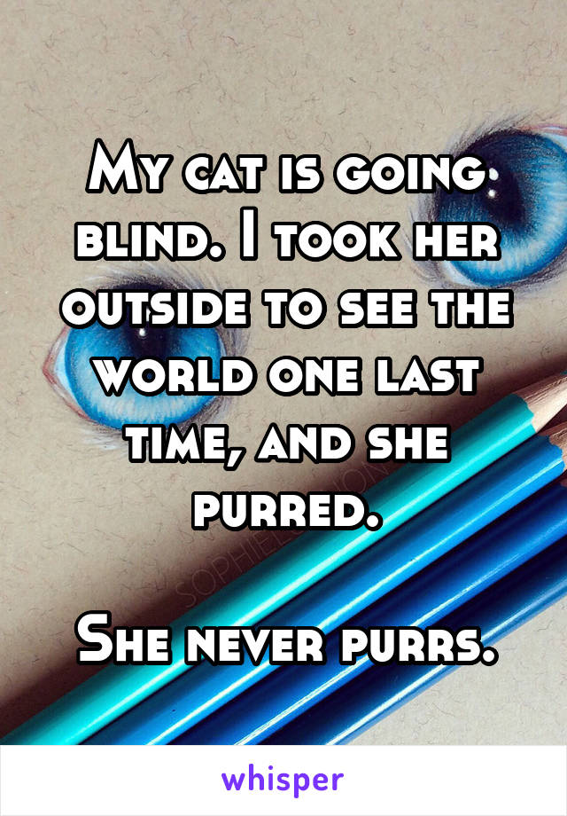 My cat is going blind. I took her outside to see the world one last time, and she purred.

She never purrs.