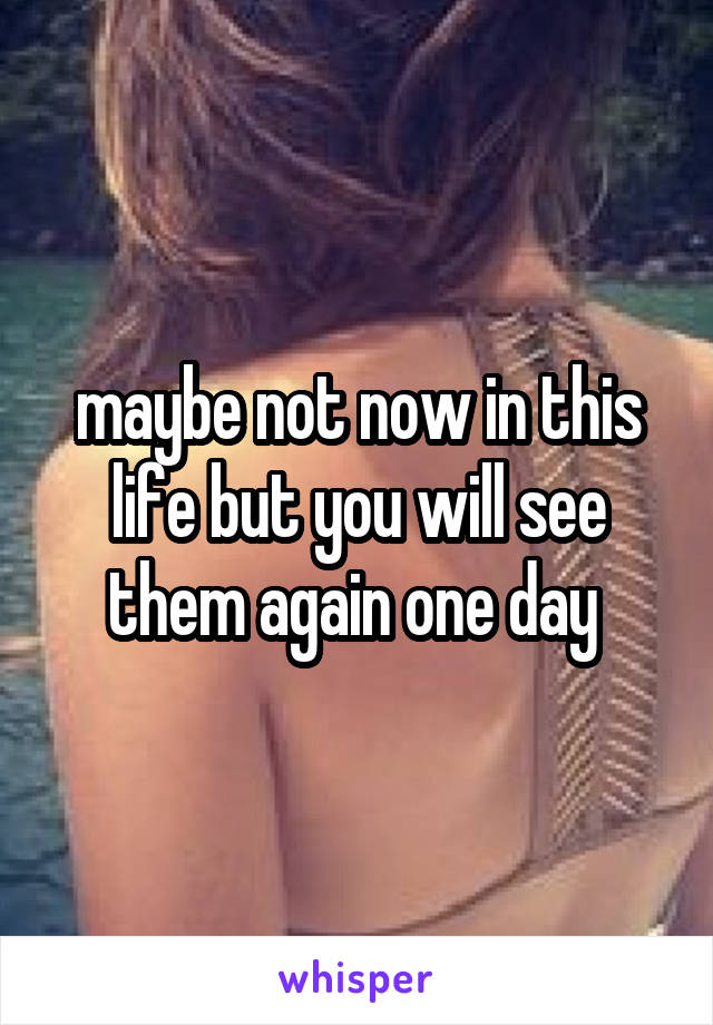 maybe not now in this life but you will see them again one day 