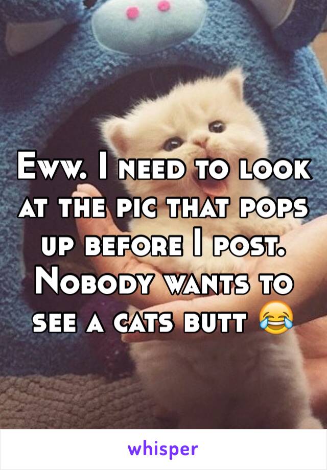 Eww. I need to look at the pic that pops up before I post. Nobody wants to see a cats butt 😂