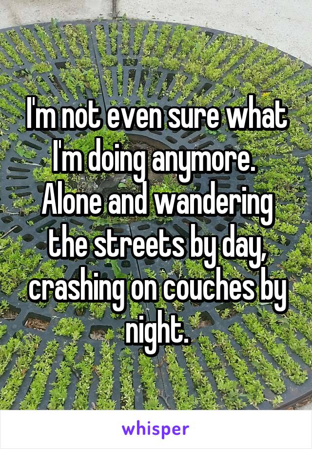 I'm not even sure what I'm doing anymore.  Alone and wandering the streets by day, crashing on couches by night.